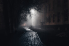 City Park At Night In Fog