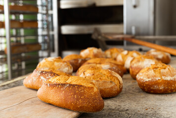 Hot appetizing baguettes on a bakery oven tray