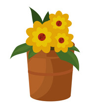 Yellow Flowers On Pot