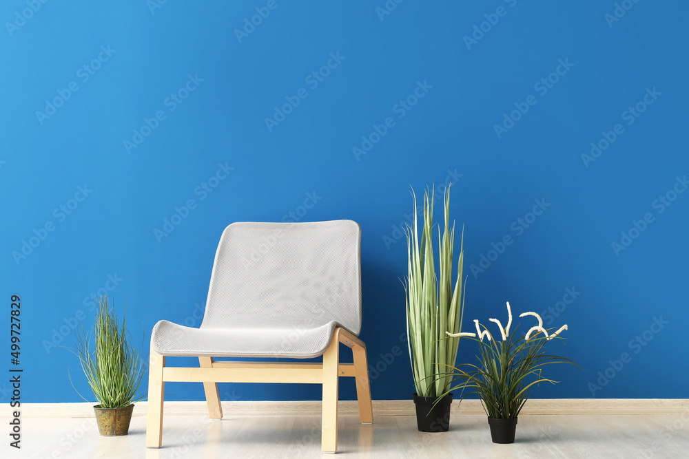 Modern chair and houseplants near blue wall