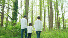 森林を歩く親子　ファミリー　子育て　エコロジー