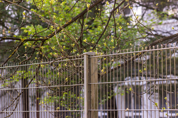 Wall Mural - Steel grating fence made with double wire
