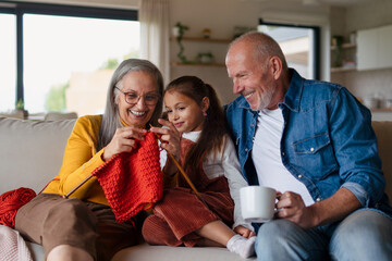 Wall Mural - Little girl sitting on sofa with her grandparents and learning to knit indoors at home.