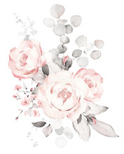 Set Watercolor Pink  Flowers, Garden Roses, Peonies. Collection Leaves, Branches. Botanic Illustration Isolated On White Background.