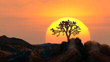 Silhouette Of A Joshua Tree At Sunset, Mojave Desert, California, USA