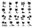 coconut tree silhouette on the beach by the sea for summer vacation
