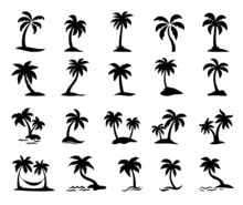 Coconut Tree Silhouette On The Beach By The Sea For Summer Vacation