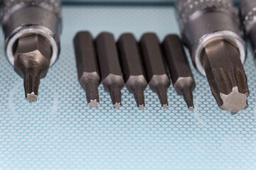 Canvas Print - Sets of interchangeable torx bits for screwdriver and mini screwdriver