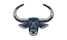 Wild Water Buffalo On Light Background, Vector, Illustration Logo, Sign, Emblem.