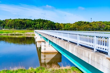 Canvas Print - bridge in the park