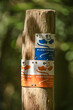Hattem, The Netherlands, July 31, 2021: wooden pole with little signs indicating Klompenpad (clog path) hiking trails through the forest