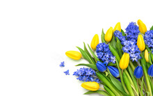 Yellow Blue Tulip Hyacinth Flowers Bouquet. Spring Floral Background