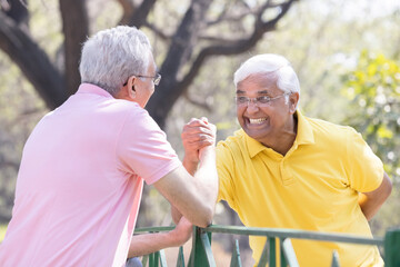 Wall Mural - Two senior man having an arm wrestle competition at park