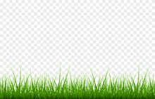 Vector Young Grass Png. Lawn, Grass On An Isolated Transparent Background. Background With Grass.