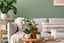 Stylish Composition Of Home Garden Interior Filled A Lot Of Plants, Succulents, Air Plant In Different Design Pots. Green Wall. Beige Sofa With Plaid. Template. Home Gardening Concept Home Jungle.