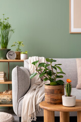 Poster - Stylish composition of cozy living room interior with design poster frames, plants, beige sofa, plaid and personal accessories in green home decor. Template. Green wall with a frame. ..