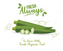 Ladyfinger, Okra Vegetable Vector Illustration With Pieces Of Vegetable