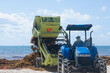 Heavy machinery removes Sargasso from the beach in Playa del Carmen, Mexico
