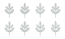 Branches Icons Vector Set. Contour Line Leaves Illustration Isolated On White. Floral Design Element For Print, Background, Banner Or Card. Ecology Symbol, Environment Concept, Eco Sign Or Logo.
