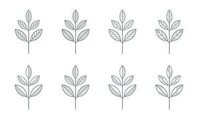 Branches icons vector set. Contour line leaves illustration isolated on white. Floral design element for print, background, banner or card. Ecology symbol, environment concept, eco sign or logo.