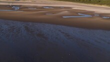 Drone Revealing Lush Green Dune Forest Along Oostvoorne Bay Beach In Sunset Glow