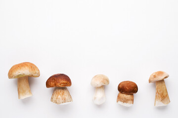 Wall Mural - Bunch of fresh forest porcini mushrooms on a white surface close up, soft focus, top view, copy space	