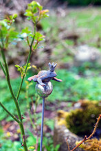 Small Sculpture Of Frog With Crown In A Green Garden