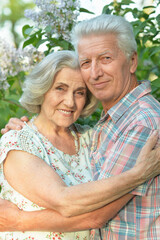 Sticker - Beautiful senior couple posing in the summer park