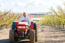Farmer Driving A Tractor In An Apricot Field. He Wears A Chemical Protective Suit
