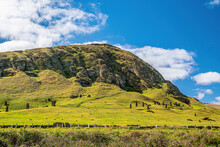Moai Set In The Hillside At Rano Raraku