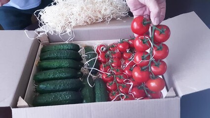 Poster - Packaging of cherry tomatoes and cucumbers in a cardboard box for shipment to the consumer