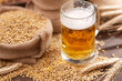 beer ingredients:barley near beer glass