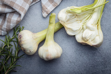 Canvas Print - Whole garlic bulb. Fresh white garlic on kitchen table.