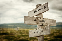 Seven Deadly Sins Text Quote Written In Wooden Signpost Outdoors In Nature. Moody Theme Feeling.