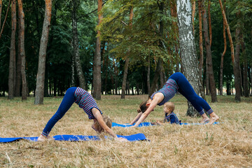 Wall Mural - Family yoga. Mother and baby doing yoga Exercises for Beginners outdoors. Family doing yoga exercise in summer park