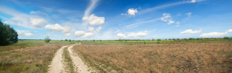 Wall Mural - summer meadow