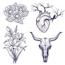 Bull Skull Tattoo Set, Lily, Swallow, Roses, Heart. Tribal Tattoo, Boho Style Sketch, Isolated On White