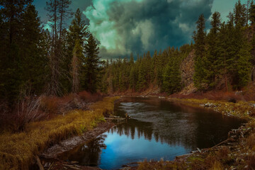 Wall Mural - 2022-04-19 THE DESCHUTES RIVER LINED WITH EVERGREEN TREES AND A REFLECTION IN THE RIVER AND A CLOUDY SKY