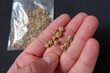 close-up chard seeds,ancestral chard seeds,organic chard seeds,