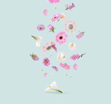 Beautiful Pink, Purple And White Flowers On A Pastel Green Background. Spring Pastel Flying Flowers Aesthetic Concept. Gerbera, Rose, Calla Lilly And Others Flowers Floating In The Air.