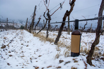 Wall Mural - Wine in the snow