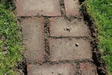 Red Brick Stone Path Appeared After Remove The Lawn