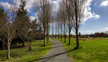 Scenic Path In A Park With Green Field And Trees In A City. Sunny Sky With Clouds. Derek Doubleday Arboretum, Langley, Vancouver, BC, Canada.
