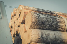 Transportation Of Timber By Rail. Railway Special Freight Car Loaded With Logs. Timber Export From Russia. Selective Focus