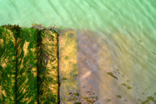 Seaweed Covered Steps Down Into Light Green Water