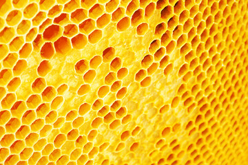 Wall Mural - Yellow Honeycomb closeup background