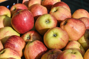 Canvas Print - pomme fruit vrac bio alimentaire vitamine