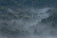 Aerial View Rain Forest And Morning Fog, Pang Puai, Mae Moh, Lampang, Thailand.