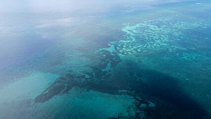 Wall Mural - The stunning, expansive coral reef in the crystal clear turquoise ocean of coral triangle in Timor Leste, Southeast Asia, aerial drone view of sea and reefs from above