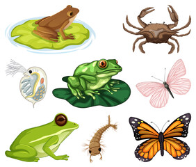 Wall Mural - Different kinds of insects and animals on white background